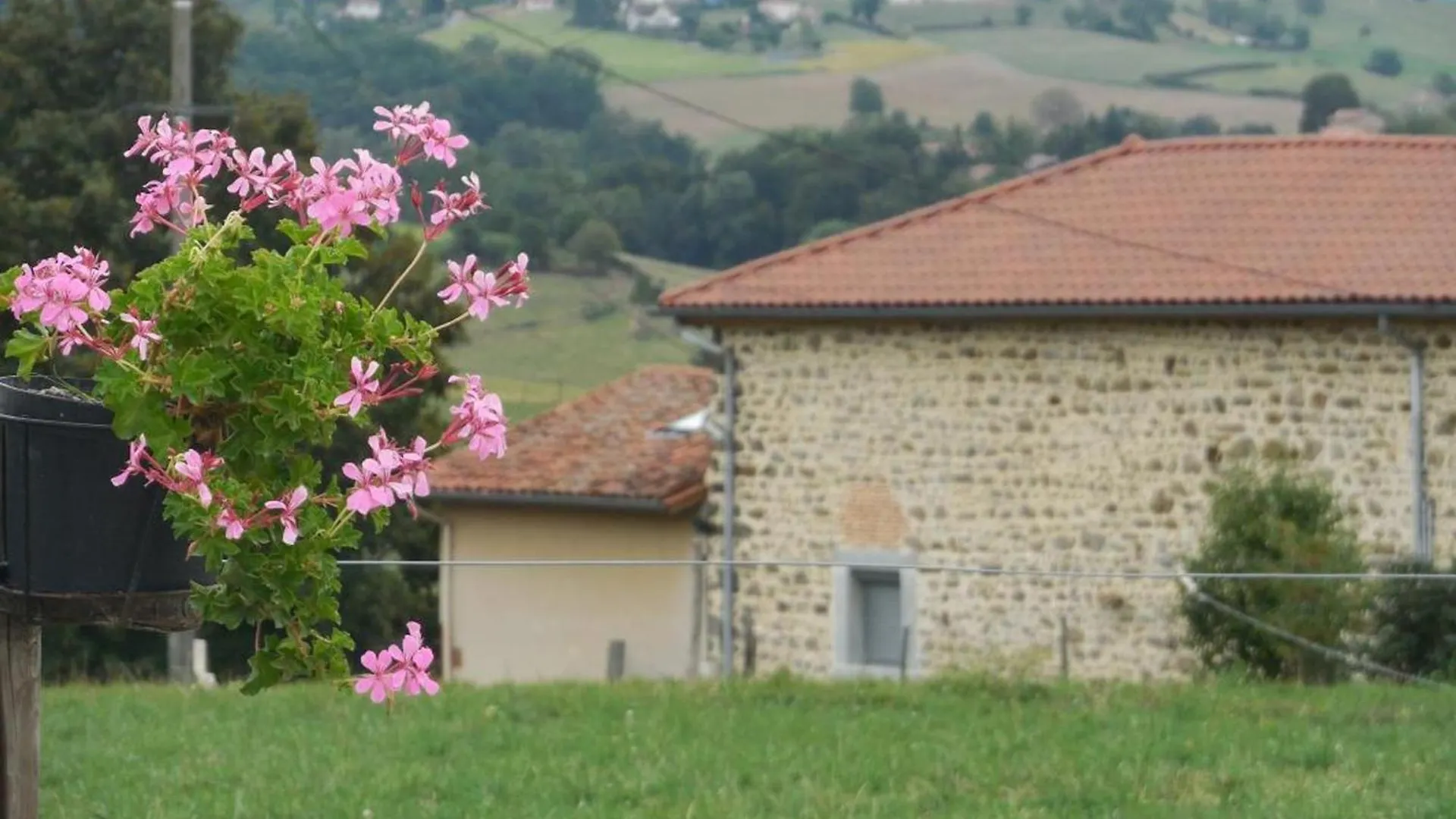 Gite Rustique Avec Cheminee, Jardin Et Wifi - Fr-1-496-175 Aveizieux 0*,  Frankreich